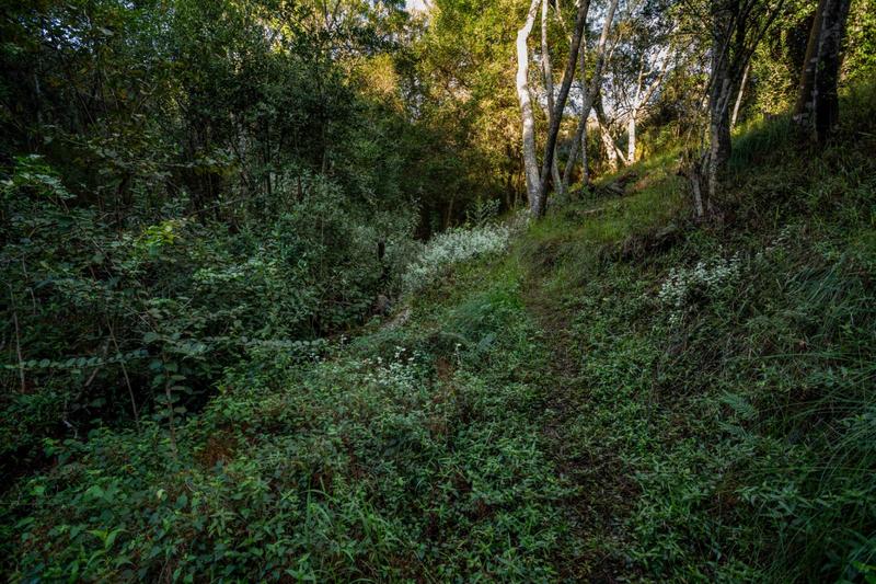 5 Bedroom Property for Sale in The Crags Western Cape